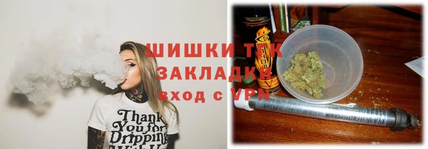 сатива Нефтекумск