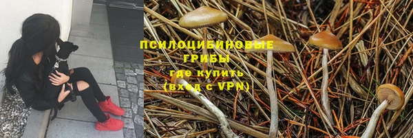 метамфетамин Нея